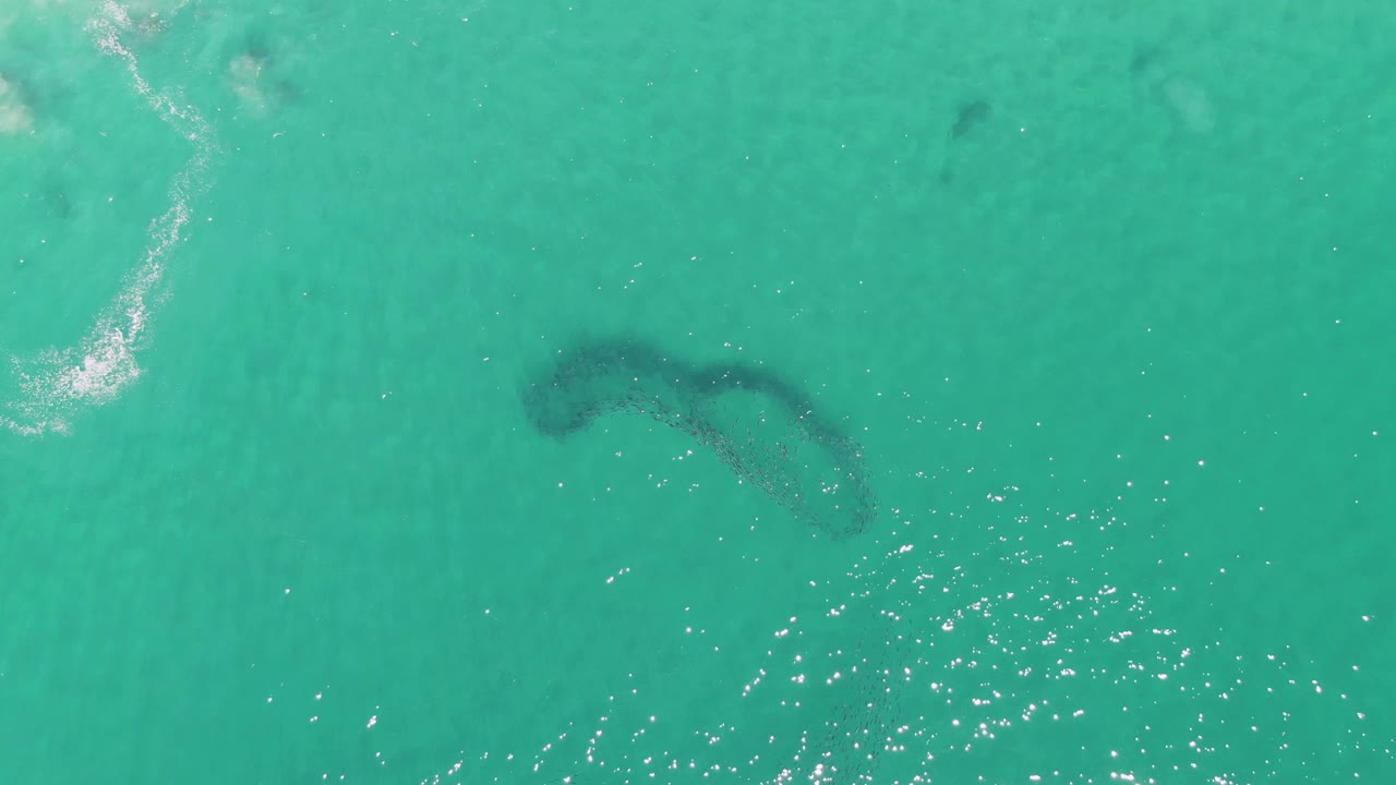 At Buzzards Beach in Baja California Sur, the fish school remains below the clear turquoise surface while a small pale wave streak sits near the upper left and no visible people appear.