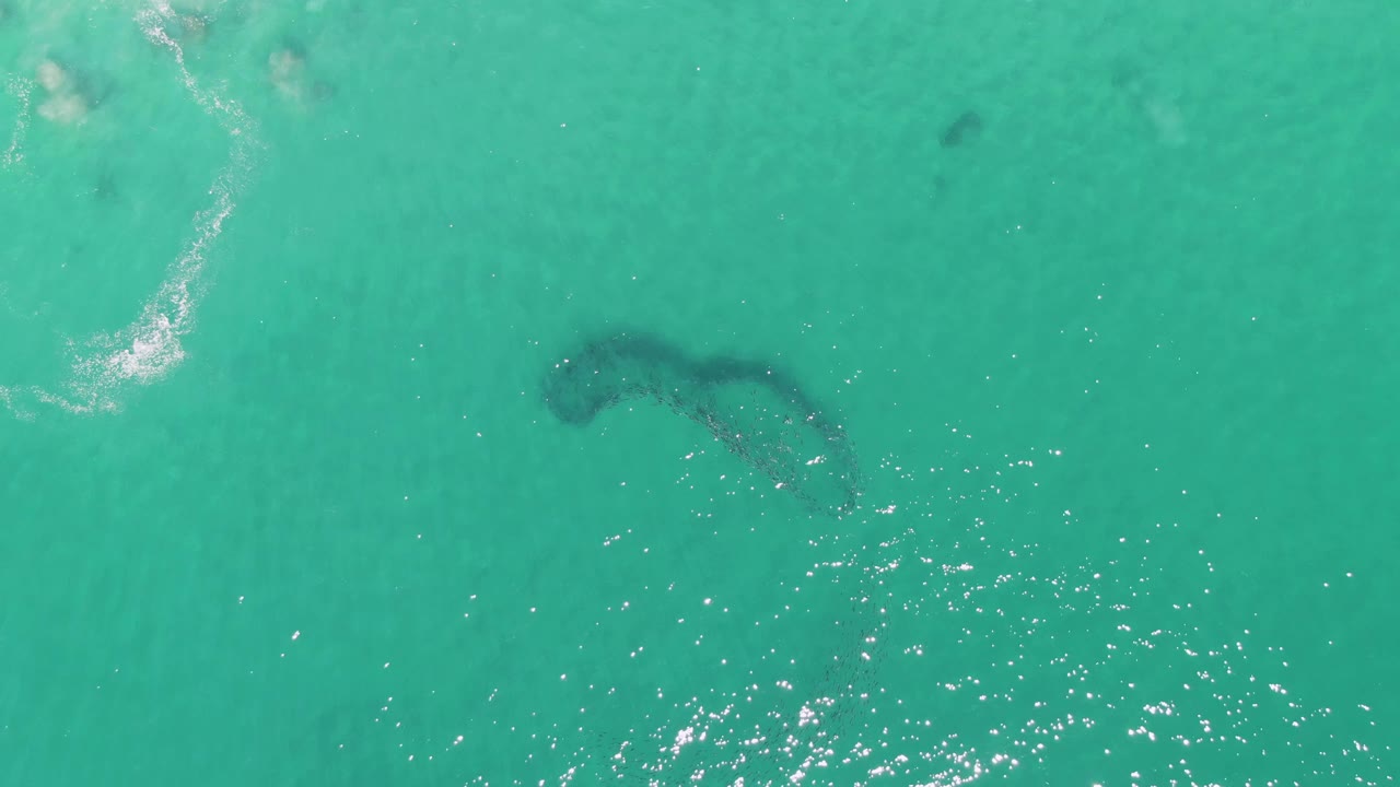 Aerial turquoise ocean with fish school and brighter sparkle low in frame