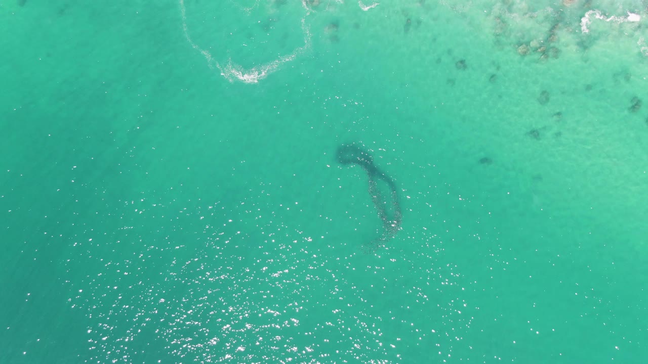 The third second shows Buzzards Beach turquoise water from above, with the dark marine animal below the surface, pale reef-like marks near the top edge, scattered white sparkle, and no visible people.