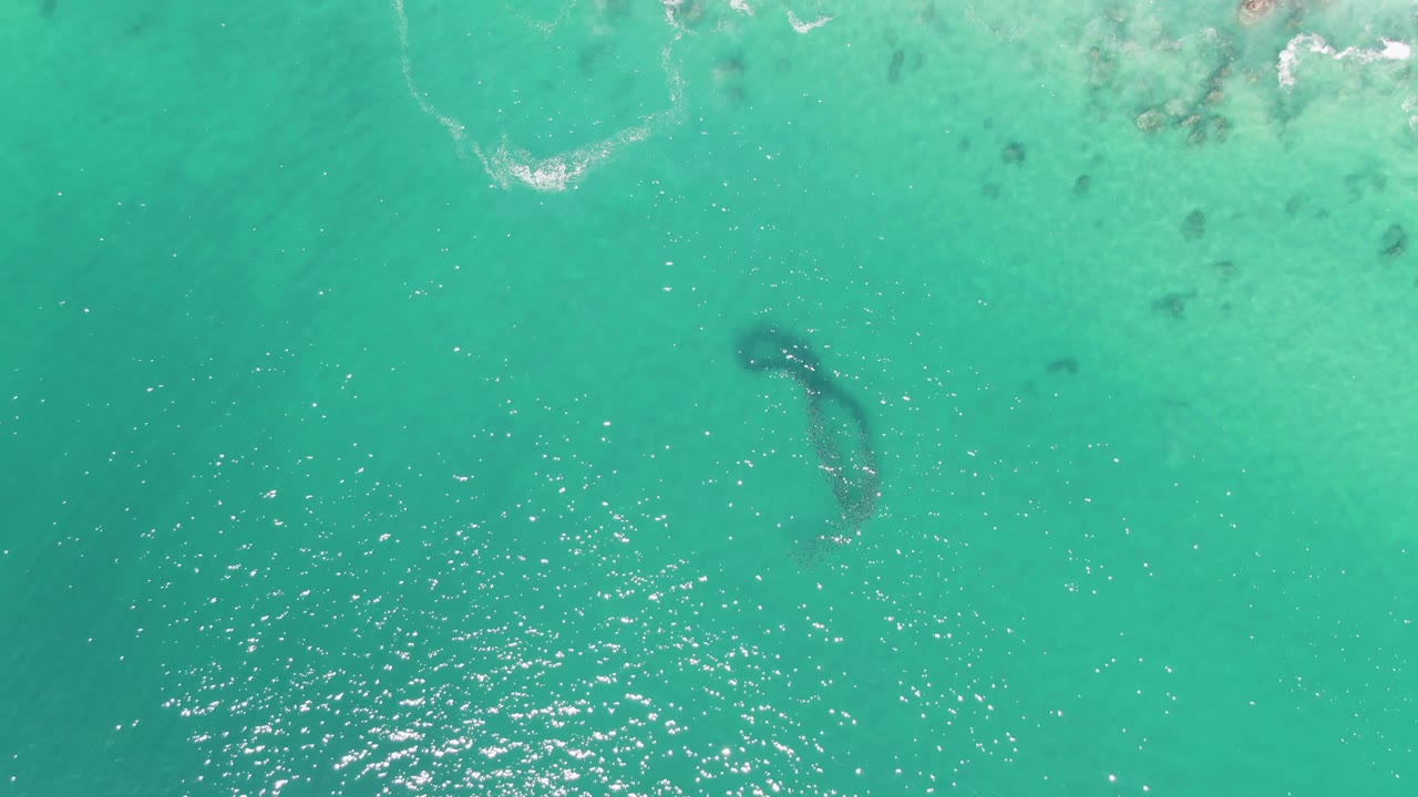 At Buzzards Beach in Baja California Sur, the aerial view shows the dark underwater animal lower in the frame than the pale top-edge patches, with rippled light on the sea and no visible people.