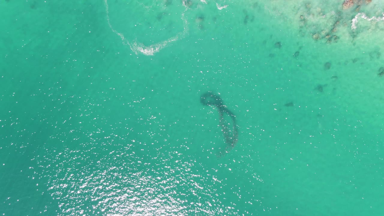 Overhead frame from Buzzards Beach, Baja California Sur, showing turquoise water, a dark underwater shape near center-right, bright water reflections, and no visible people.