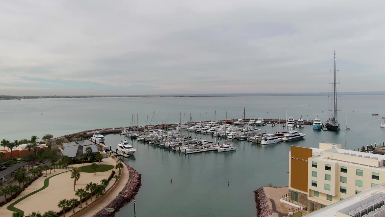 Wide La Paz marina frame with the docks spread across the center, calm water beyond, a curved palm-lined walkway below, part of a waterfront building at right, and no visible people.