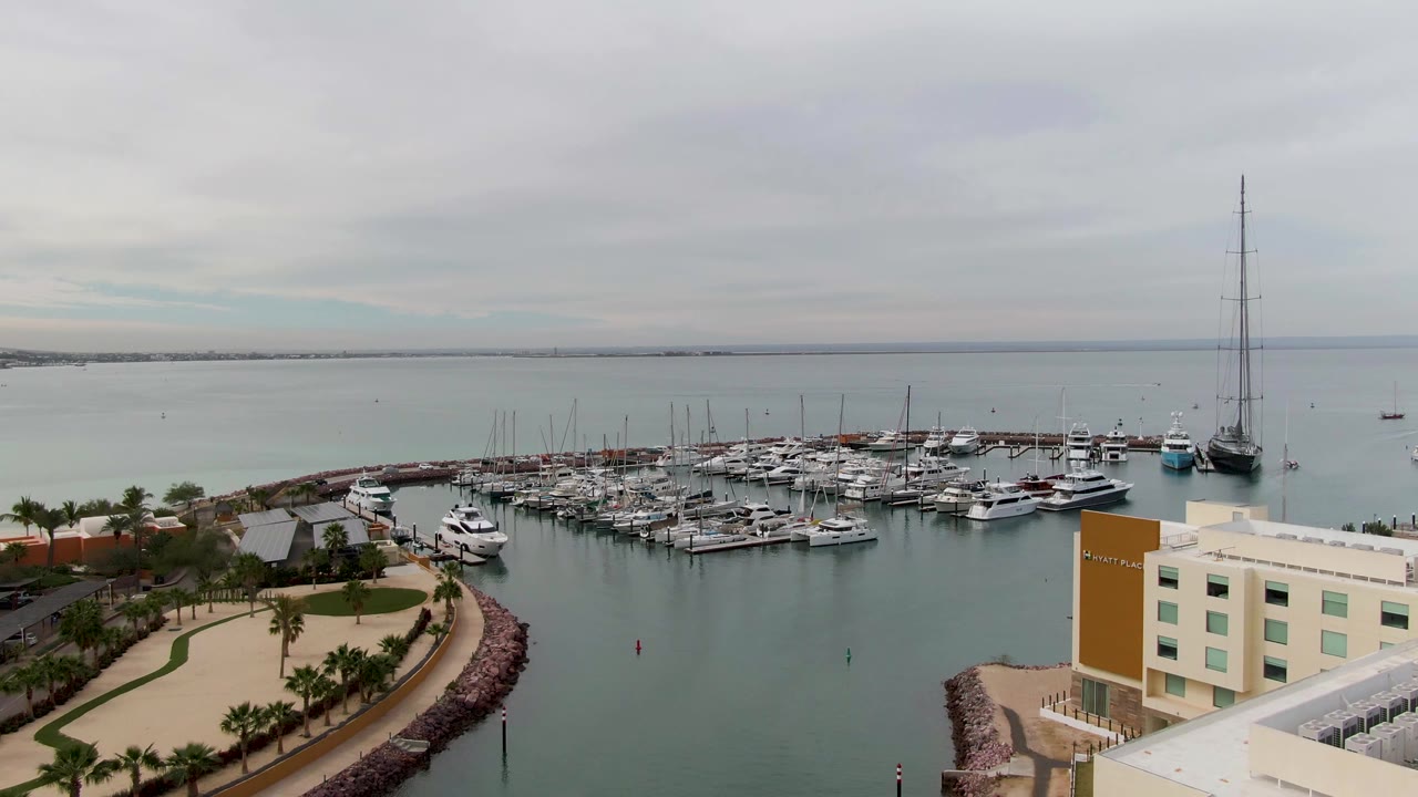 Docked boats and sailboats beside a curved palm walkway under gray sky