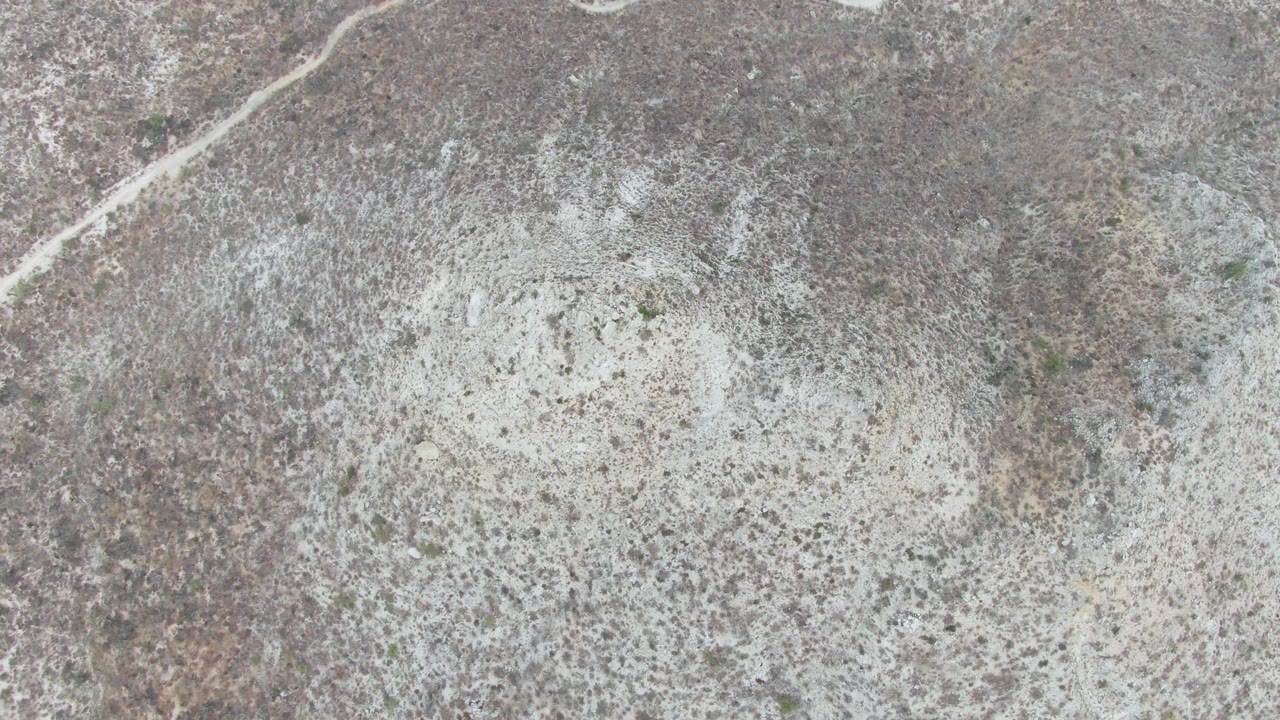 Overhead view in Punta Gorda Beach, Baja California Sur, where a light dirt road bends across the upper frame above a pale dry playa and speckled desert vegetation, with no visible people.