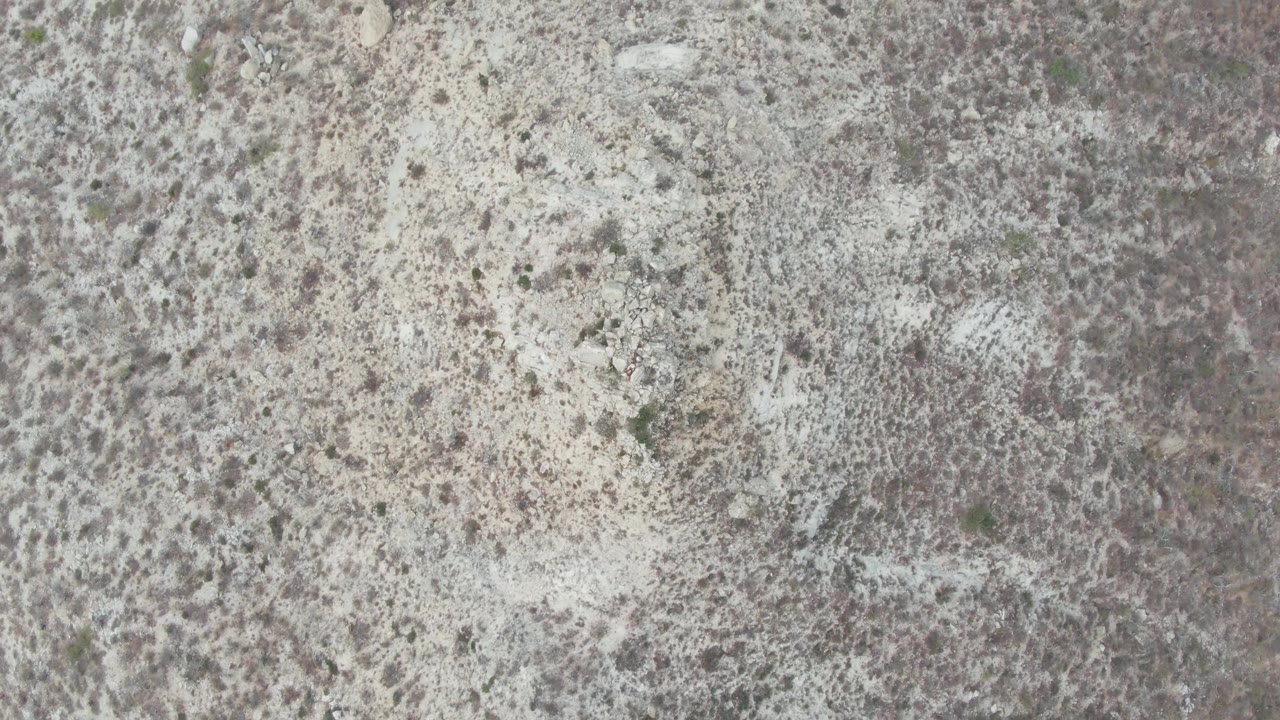 Overhead view of pale rocky ground with scattered dark scrub texture.