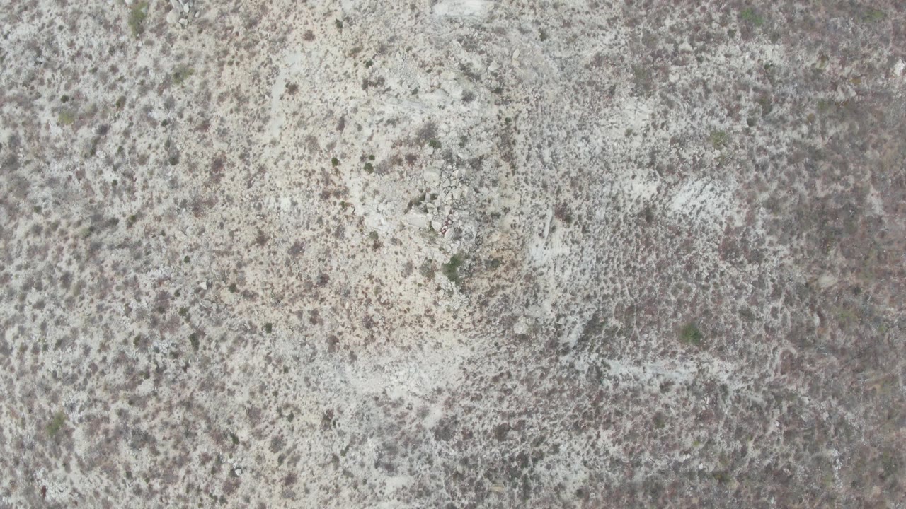 Overhead lichen-covered gray rock surface with pale patches.
