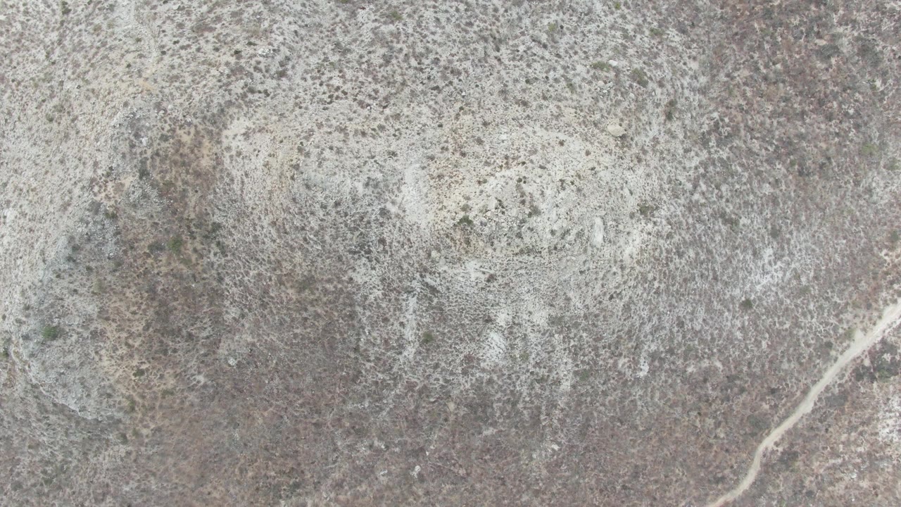 Overhead frame of rocky arid terrain near Punta Gorda Beach, Baja California Sur, with sparse vegetation, muted earth tones, a pale dirt track on the right edge, and no visible people.