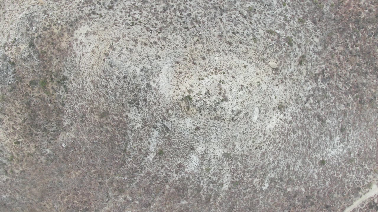 Overhead dry landscape with mottled brush cover and pale sandy areas.