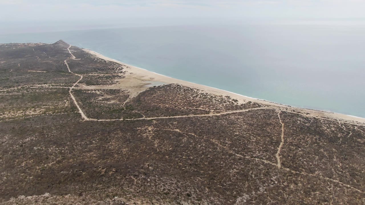 Aerial coastline with sandy beach between dry land and blue water.