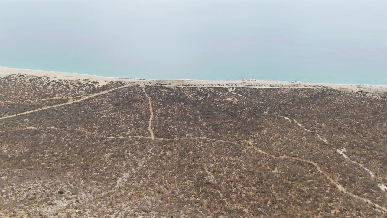 Aerial frame over Punta Gorda Beach in Baja California Sur, Mexico, showing dry coastal scrub below a pale sand strip and calm blue ocean with no visible people.