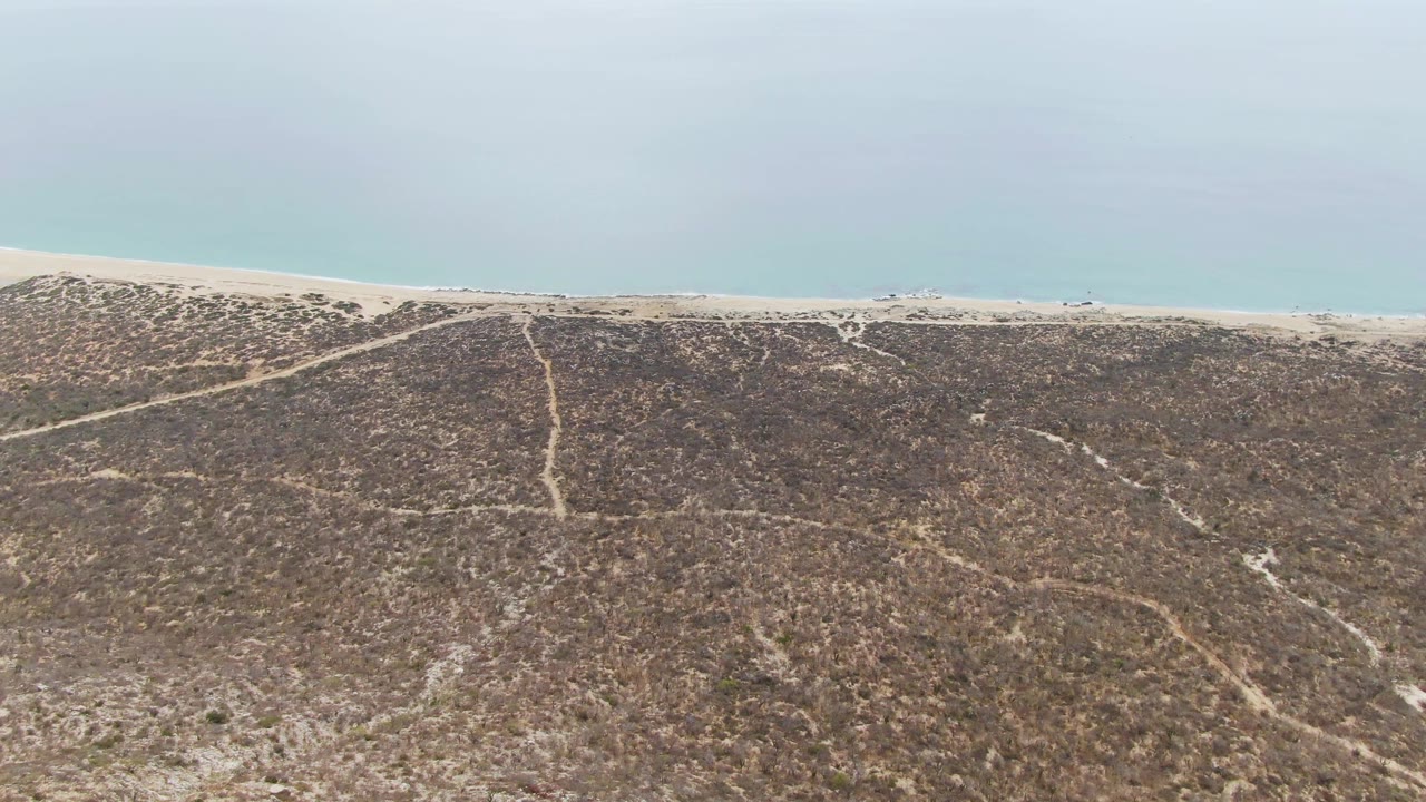 Aerial view at Punta Gorda Beach with brown scrub terrain, crisscrossing sandy tracks, a thin beach band, and calm pale blue water beyond, with no visible people.
