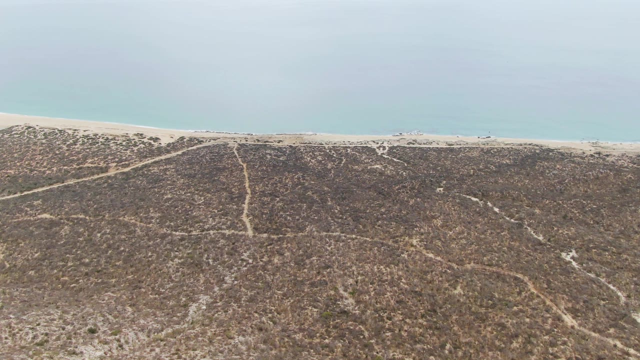 Aerial frame from Punta Gorda Beach showing textured desert scrub across the foreground, pale beach near the top of frame, and smooth blue ocean, with no visible people.