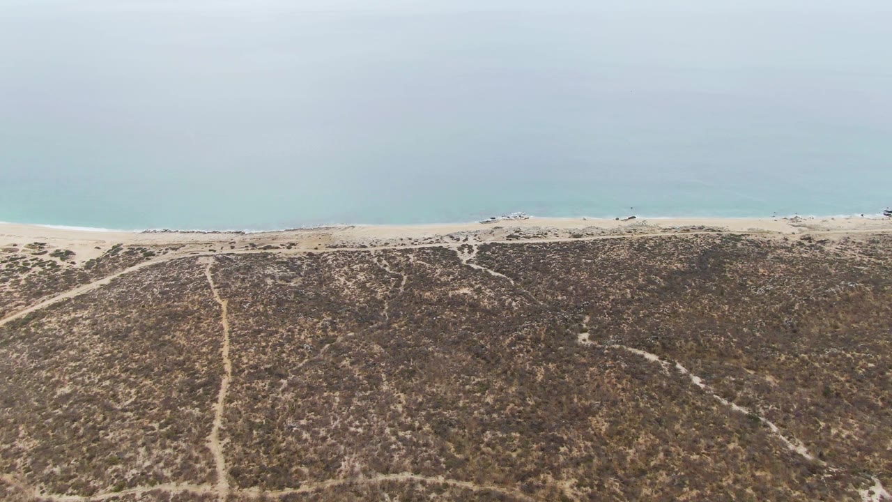 Later aerial frame over Punta Gorda Beach where the scrub dune pattern has shifted slightly in view, with a light sand beach, tiny vehicles along the shore, muted ocean color, and no visible people.