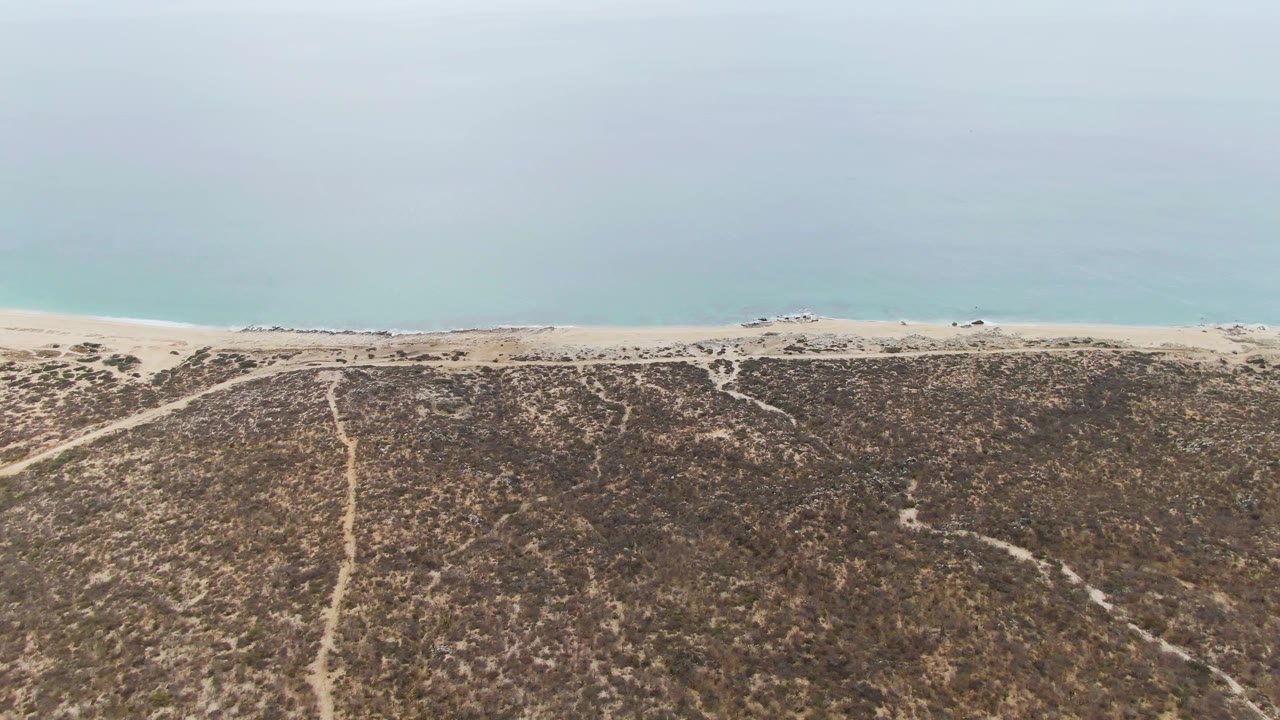 Aerial view of dry dunes, sandy beach, and pale blue ocean