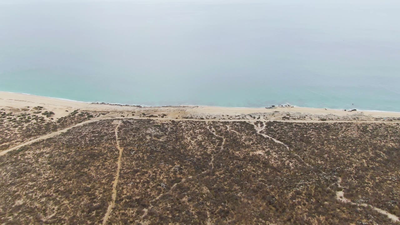 High aerial view of coastal dunes, tire tracks, beach, and pale turquoise water.