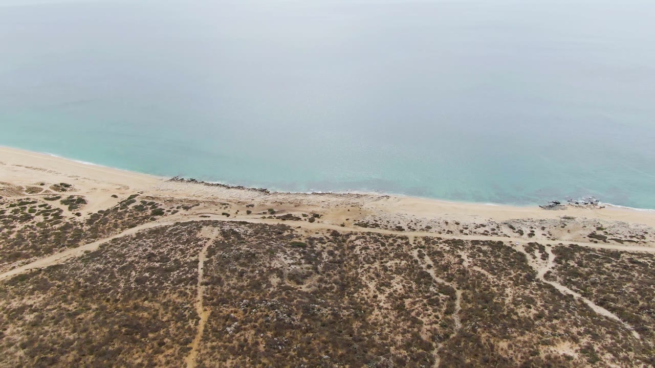 Overhead beach and dune view with calm water and sparse vegetation.
