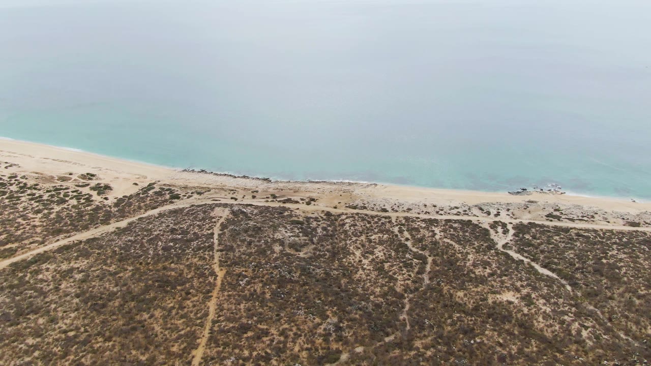 High oblique view of Punta Gorda Beach with scrub-covered ground in the lower frame, a pale sand band through the middle, and soft blue ocean above, with no visible people.