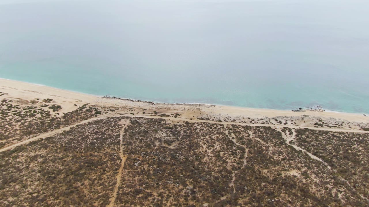 Aerial beach edge with dry scrub foreground and blue ocean beyond