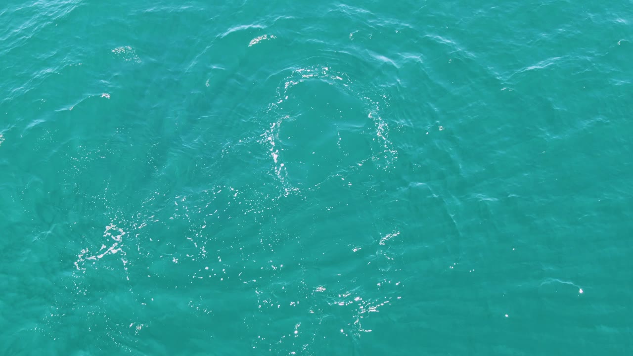 At Punta Gorda Beach in Baja California Sur, the fish appears beneath the water toward the upper right of the overhead frame while fine ripples run across the turquoise surface, with no visible people.