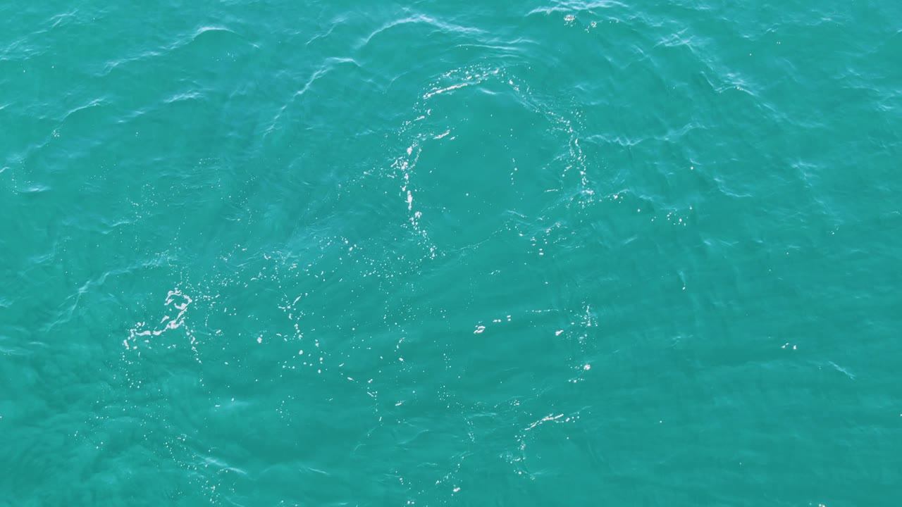At Punta Gorda Beach in Baja California Sur, the fish is a softer silhouette below teal water on the left side of the lower sequence frame, with no visible people or shoreline.