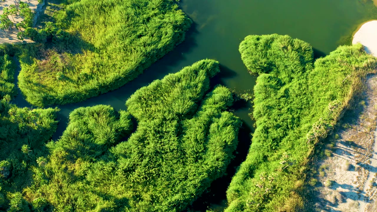 Overhead Todos Santos frame showing clustered reed islands, dark green water, bright sunlit vegetation, and no visible people.