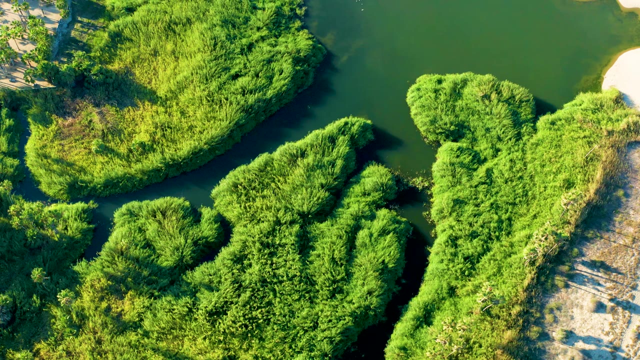 Overhead frame from Todos Santos with multiple reed-covered islands, calm dark water between them, and no visible people.