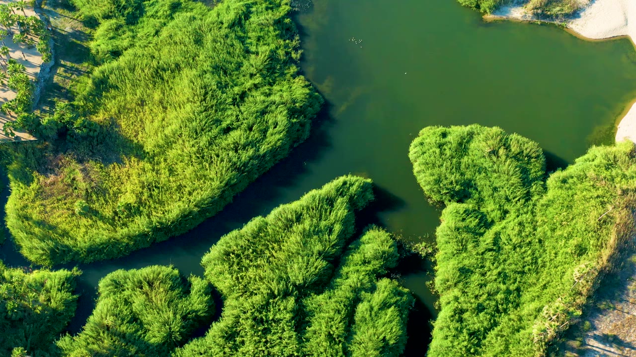 Overhead river channels winding through dense green vegetation.