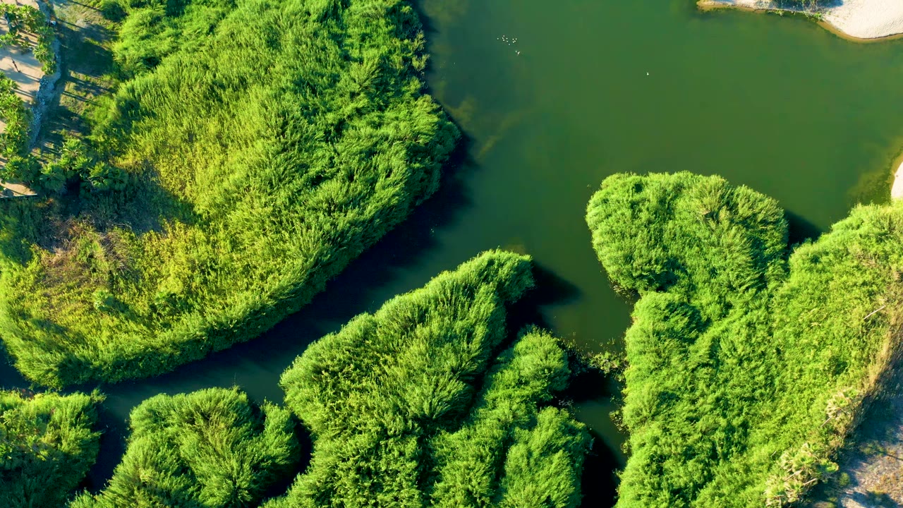 Overhead Todos Santos frame with clustered green vegetation islands divided by narrow dark water channels and small sandy shoreline patches, no visible people.