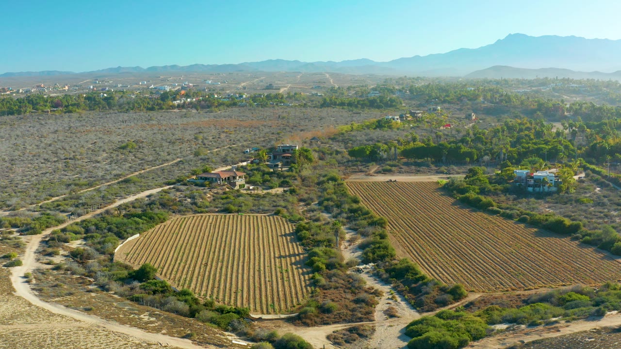 Wide aerial view of arid farmland with rectangular and curved planted fields near scattered houses.