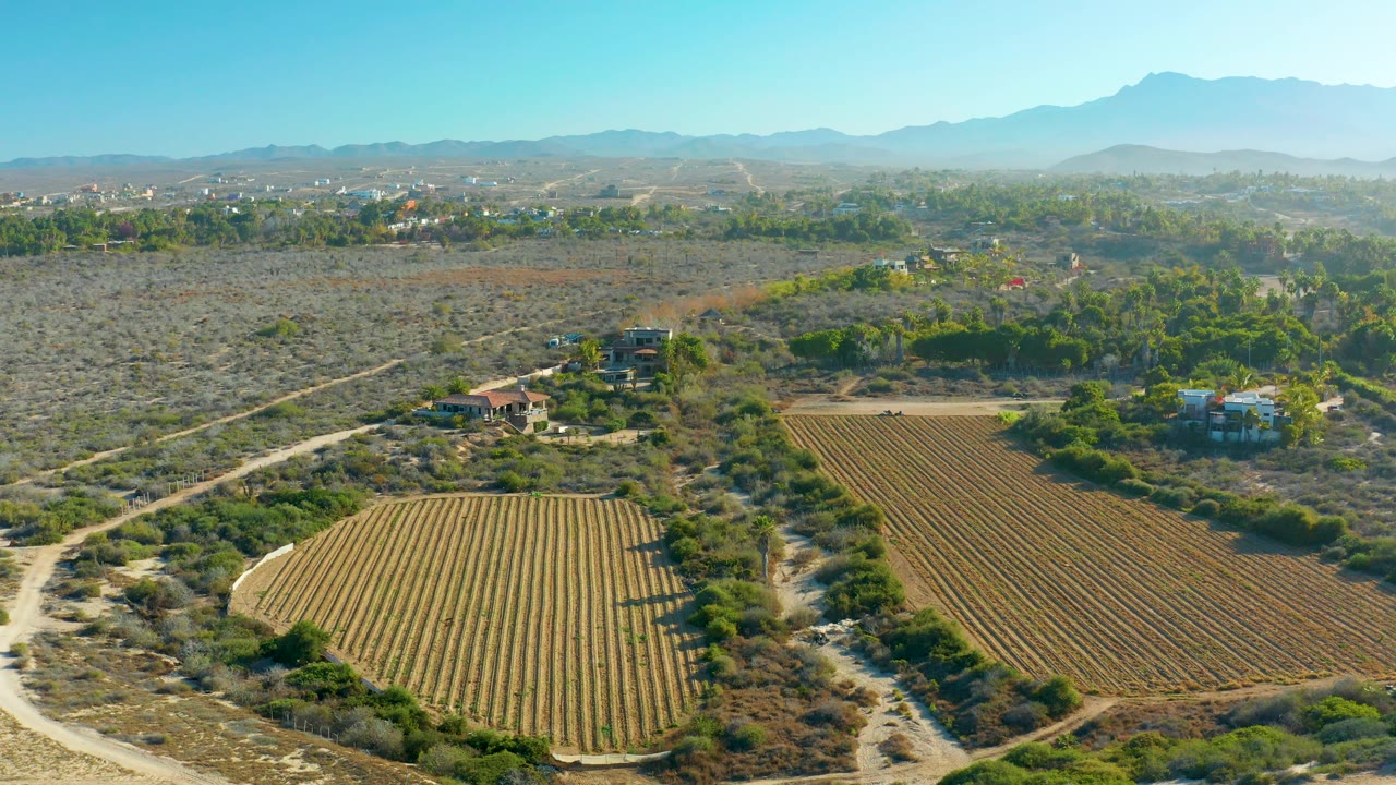 Aerial frame over Todos Santos farmland with ordered crop rows in the foreground, dirt tracks through dry scrubland, scattered buildings, distant mountains, and no visible people.