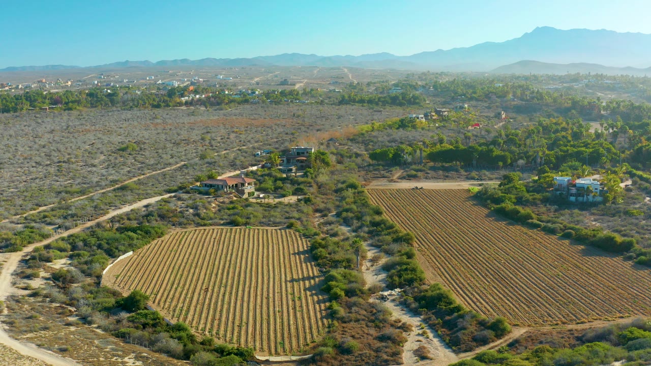 Aerial farmland view with parallel crop rows, scrub vegetation, homes, and mountains.