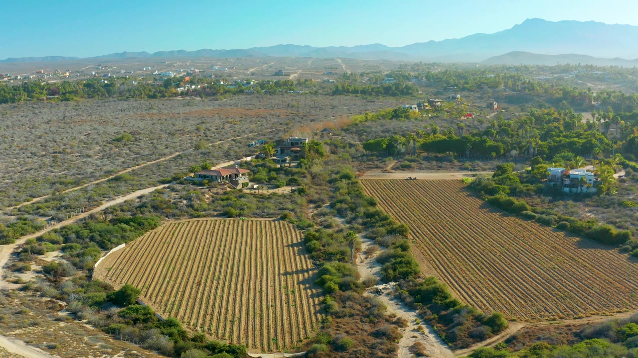High aerial frame from Todos Santos with cultivated rows on the right foreground, a dirt road crossing dry scrubland, scattered trees and buildings, mountains, and no visible people.