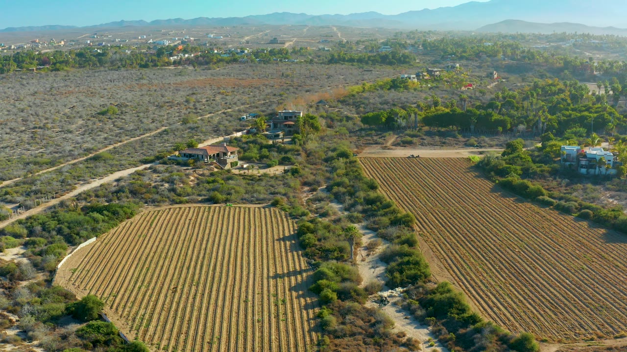 Aerial frame over Todos Santos farmland with parallel crop rows in the foreground, dirt tracks, scattered buildings, low hills in the distance, and no visible people.