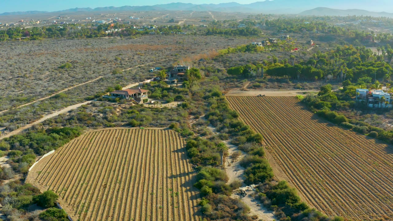 Drone view of farmland rows with a dirt road and scattered rural buildings.