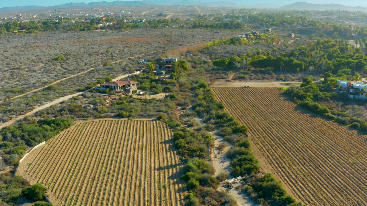 Todos Santos aerial frame with two cultivated field blocks, dry brush between them, tree-lined areas, scattered structures near the road, and no visible people.