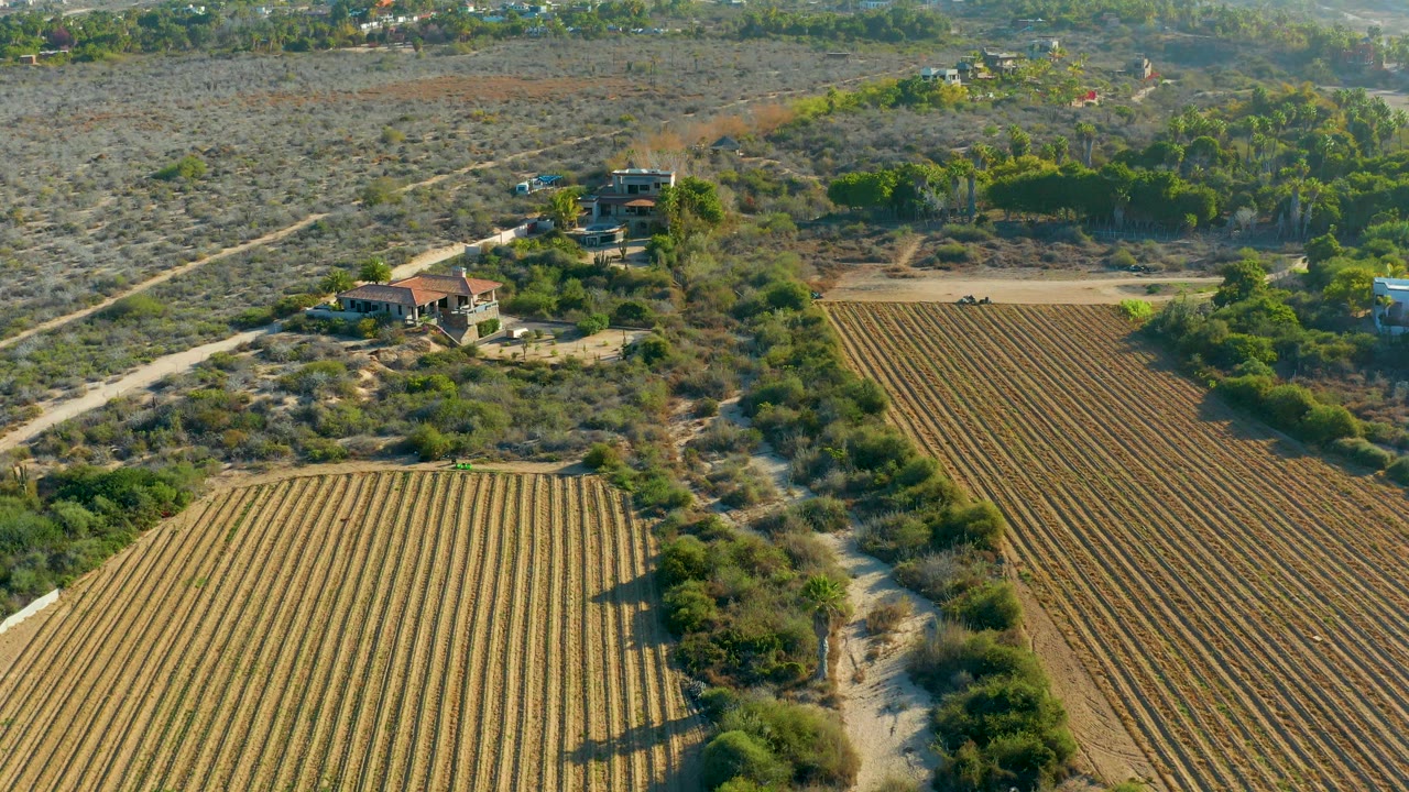 Aerial frame over Todos Santos, Baja California Sur, showing crop rows, dry scrubland, dirt roads, a small house compound, and no visible people at the start of the clip.