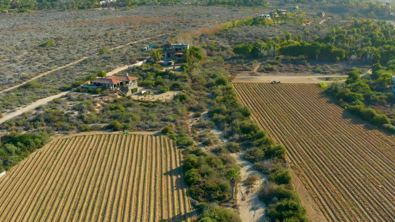 Aerial farm fields beside dry brush and a dirt road near houses.