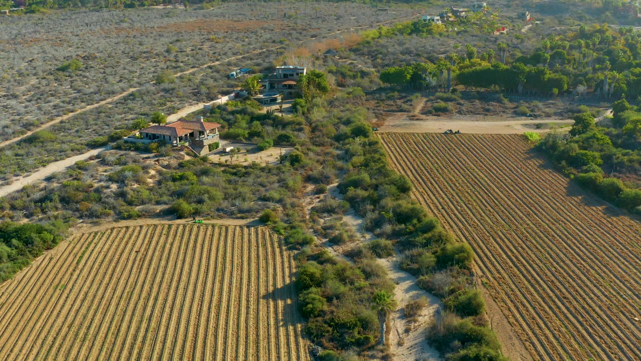 Wide aerial frame over Todos Santos, Baja California Sur, showing long crop rows, scrub-covered ground, clustered trees, rural buildings, and no visible people.