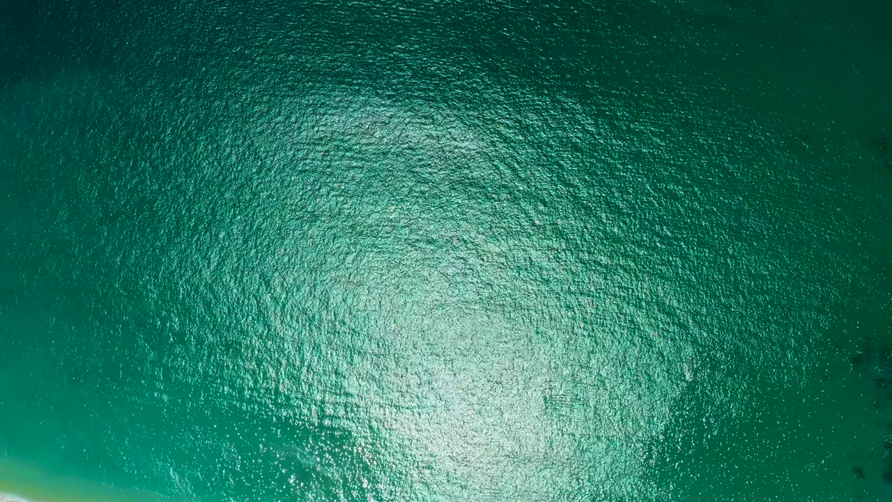 Teal ocean surface with dense ripples and a pale shoreline edge barely visible.