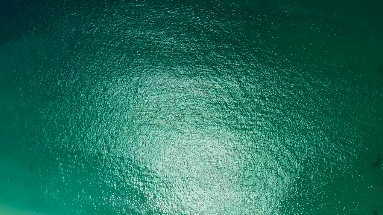 Blue-green water surface with ripples and a central patch of reflected light.