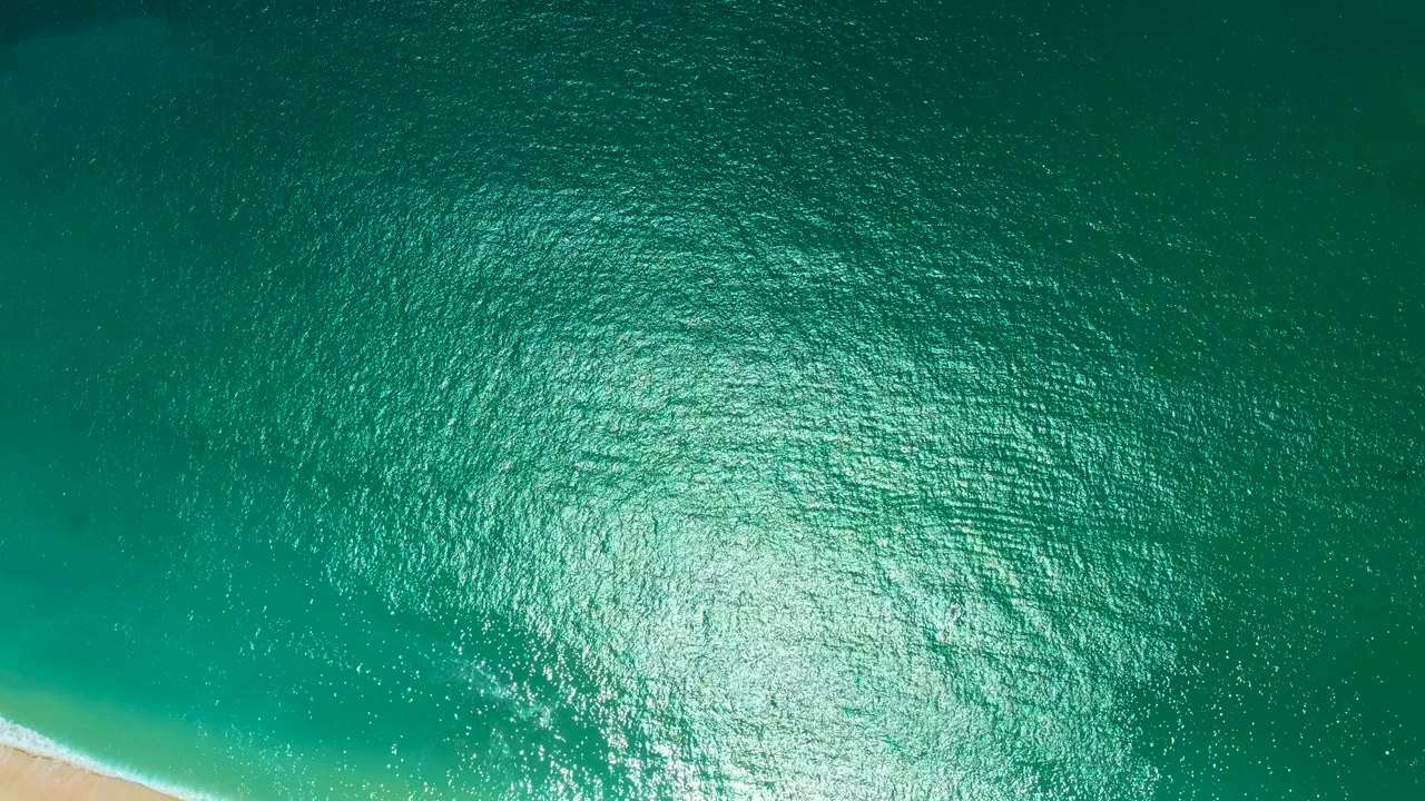 Near-vertical drone view of calm turquoise and green ocean water off Marquis Los Cabos, Mexico, with a strip of pale sandy beach appearing at the bottom-right corner; no people visible