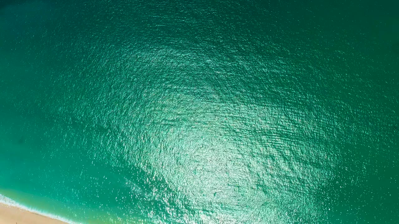 Near-vertical drone view of calm turquoise-green ocean near Marquis Los Cabos, Mexico, with a more prominent sandy shoreline along the bottom edge of the frame; no people visible