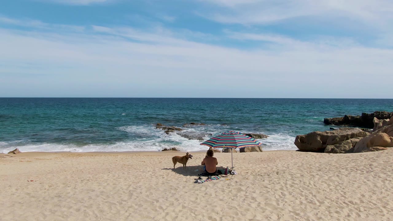 Dog and seated person near a striped beach umbrella as waves break behind them.