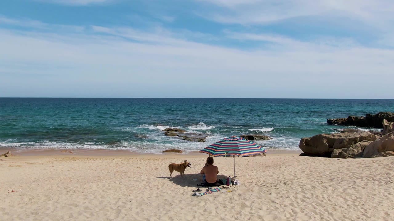 Seated beachgoer and dog near a striped umbrella with waves behind them