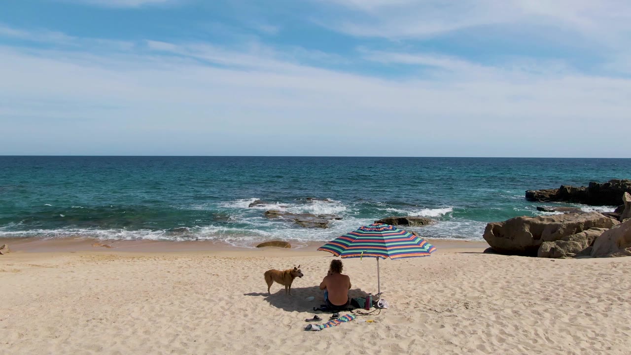 At Punta Gorda Beach, the dog stands farther left of the seated person while the striped umbrella shades the beach setup and waves break around low rocks offshore.