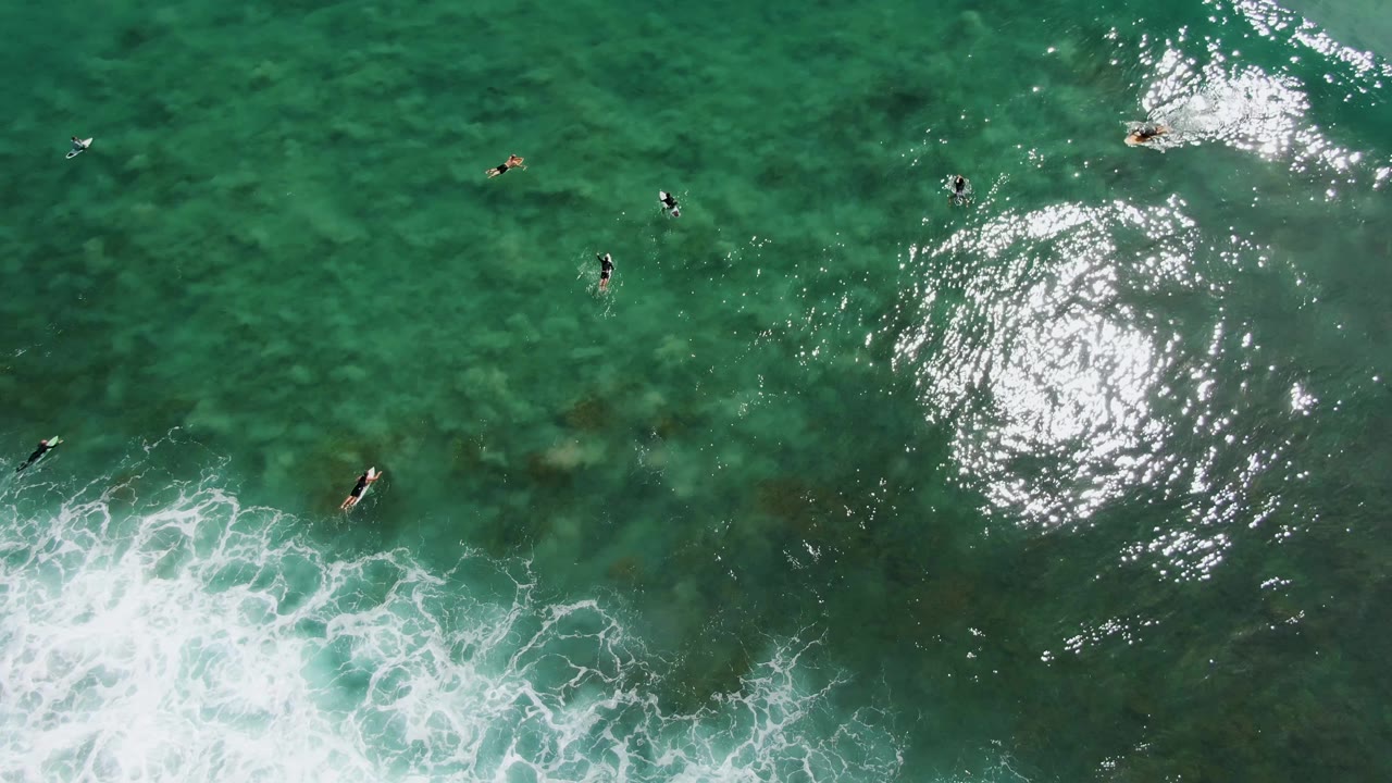 Surfers in green ocean water with bright surface glare.