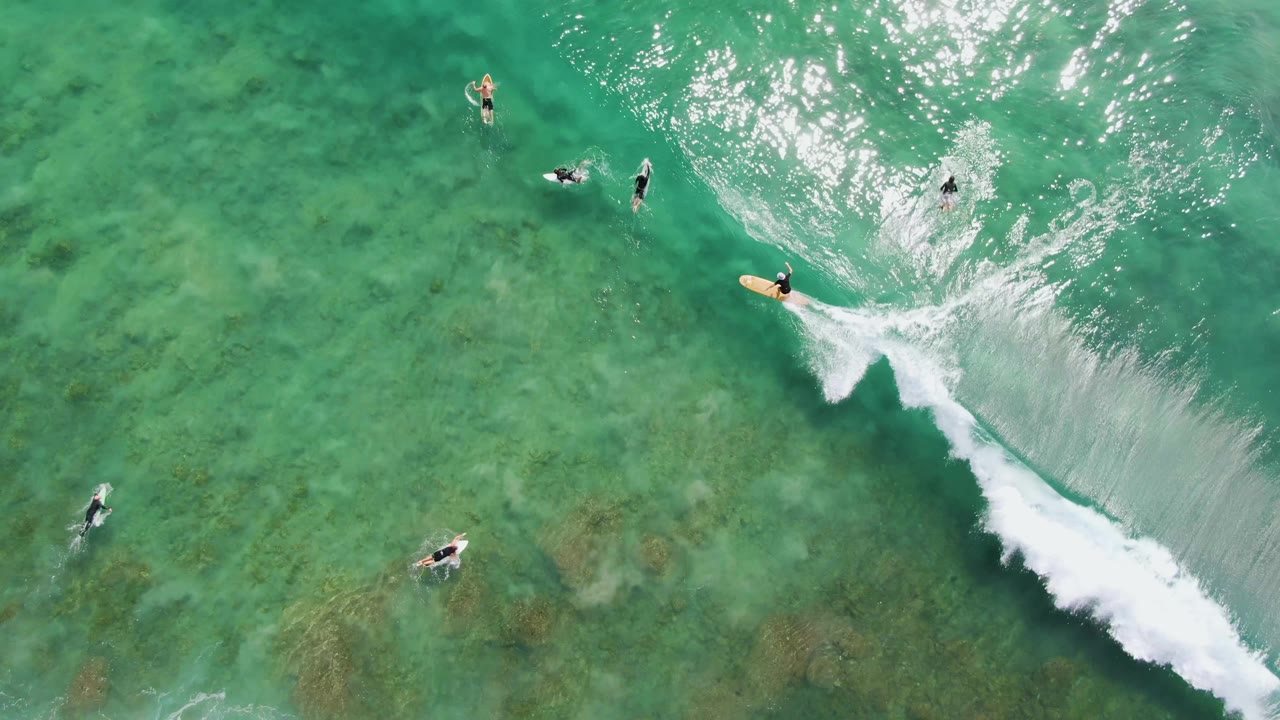 Overhead frame at Punta Gorda Beach shows scattered surfers on boards around a diagonal white wave in clear green-turquoise water.