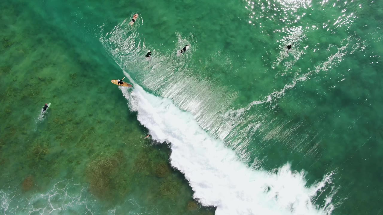 Overhead aerial view at Punta Gorda Beach shows one surfer near the left edge of a breaking wave while other surfers sit farther out in turquoise water.