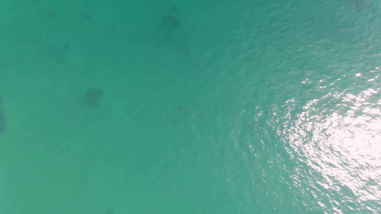 Overhead turquoise ocean water with sun reflection at right.