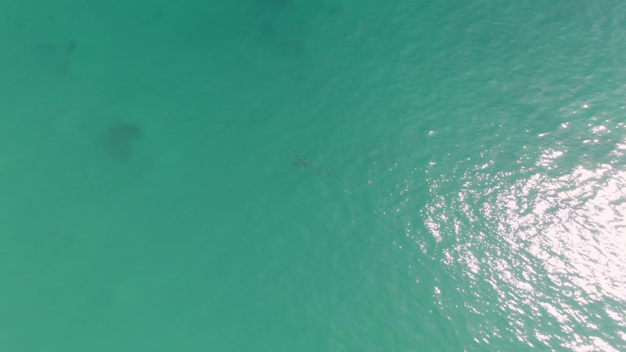 Aerial overhead frame of Punta Gorda Beach ocean water, showing soft ripples, a small dark swimmer-like shape near the upper area, and bright reflection on the right.
